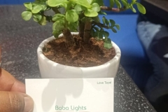 8c3746fd-61b8-4ad2-bdf8-8b0bfb326800